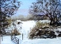 	12. Winter by June Cutler.JPG	